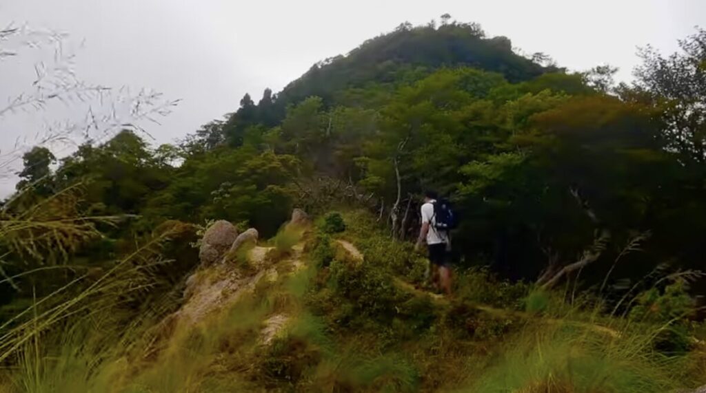夏の登山をより快適にするアイテム10選【汗・暑さ・紫外線・虫】