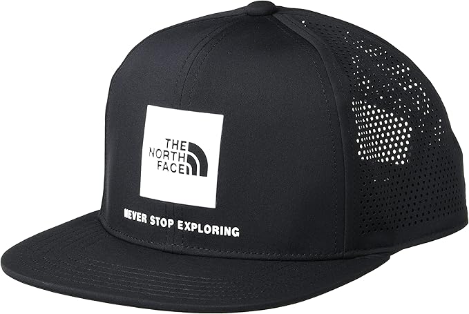 THE NORTH FACE テックロゴキャップ