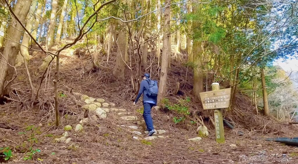 まとめ：UL装備や軽量化で軽快な日帰り登山を楽しもう