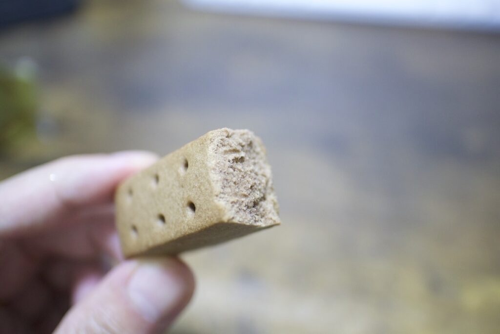 まとめ｜カロリーメイトは登山の万能行動食