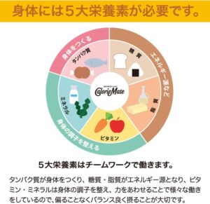 大塚製薬 カロリーメイト ブロック チョコレート