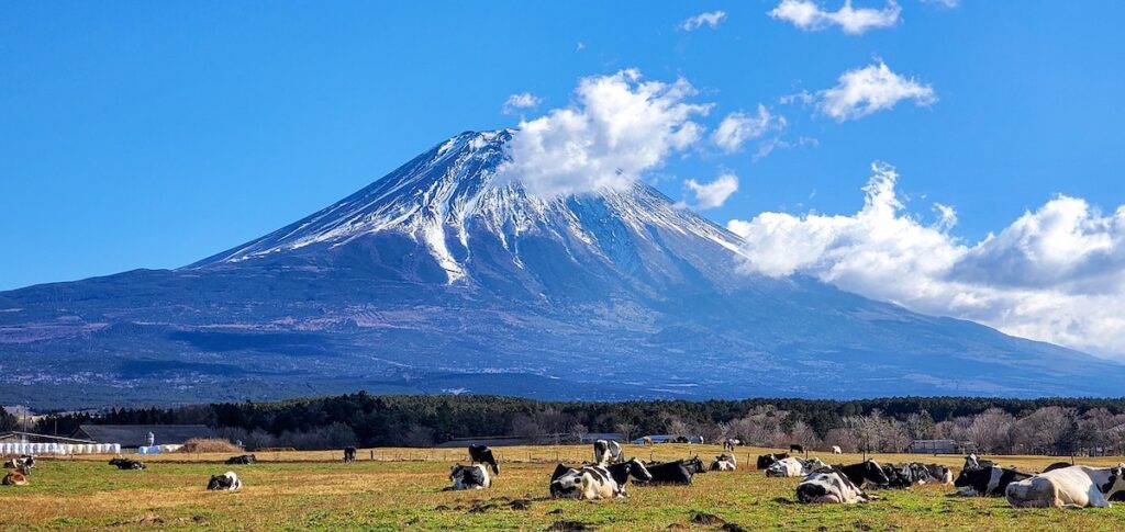 山や自然と関われる仕事が多い！
