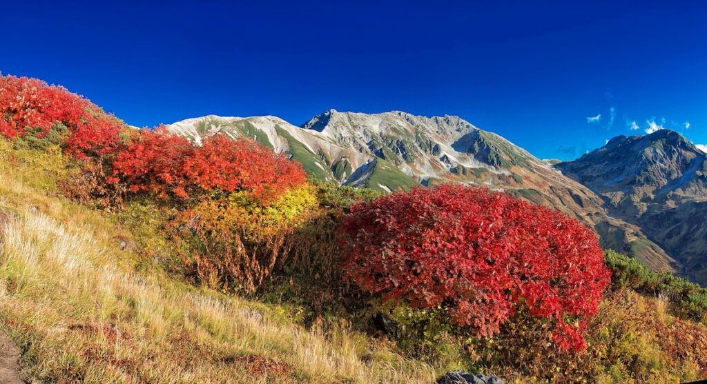 高原・山岳リゾートバイトのエリアごとの求人相場と条件