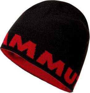 [マムート] ロゴ ビーニー Logo Beanie 1191-04891