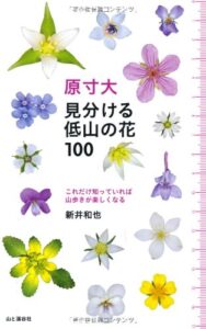 これだけ知っていれば山歩きが楽しくなる 原寸大 見分ける低山の花100