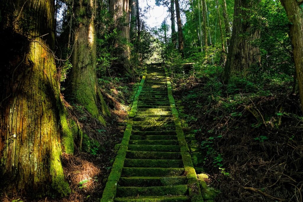 古事記・日本書紀で知る神話と御祭神の物語が神社や登山をもっと面白くする