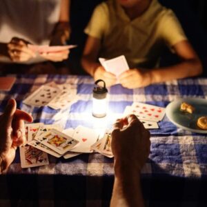 Ledlenser(レッドレンザー) MLシリーズ LEDランタン キャンプ USB充電式