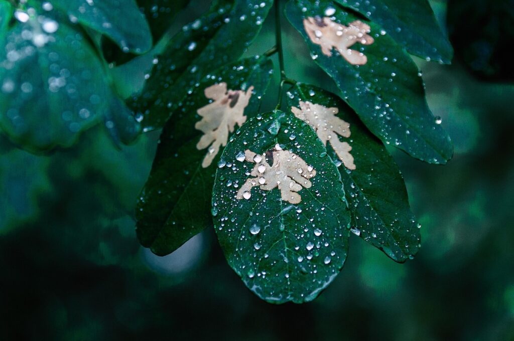 登山の雨対策アイテムおすすめ10選！登山で雨対策が欠かせない理由とは？