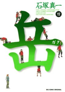 岳（１２） (ビッグコミックス)