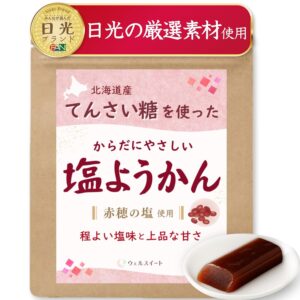 ウェルスイート 塩ようかん 羊羹 北海道小豆100％×てんさい糖 スティック個包装 ミニ ようかん 20g×10本