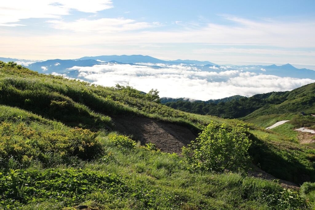 まとめ｜夏の登山はアウトドアブランドの日傘で暑さ・紫外線対策をしよう